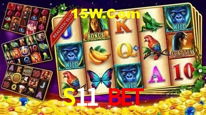 Segurança e performance na plataforma S11 Bet