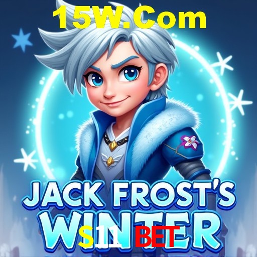 Descubra o Mundo do Cassino Online com S11 Bet