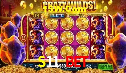 Jackpots e promoções na S11 Bet
